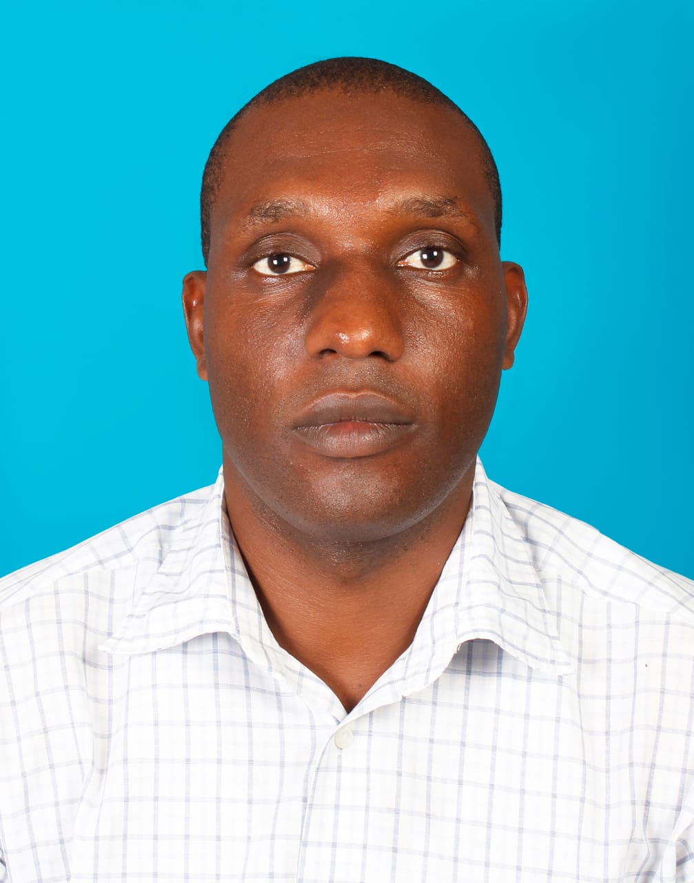 Mejooly Mollel